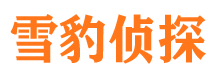 东城市私人侦探